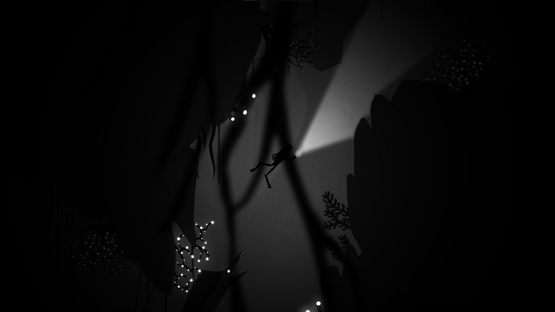 Silent Depths — diver lighting hanging roots